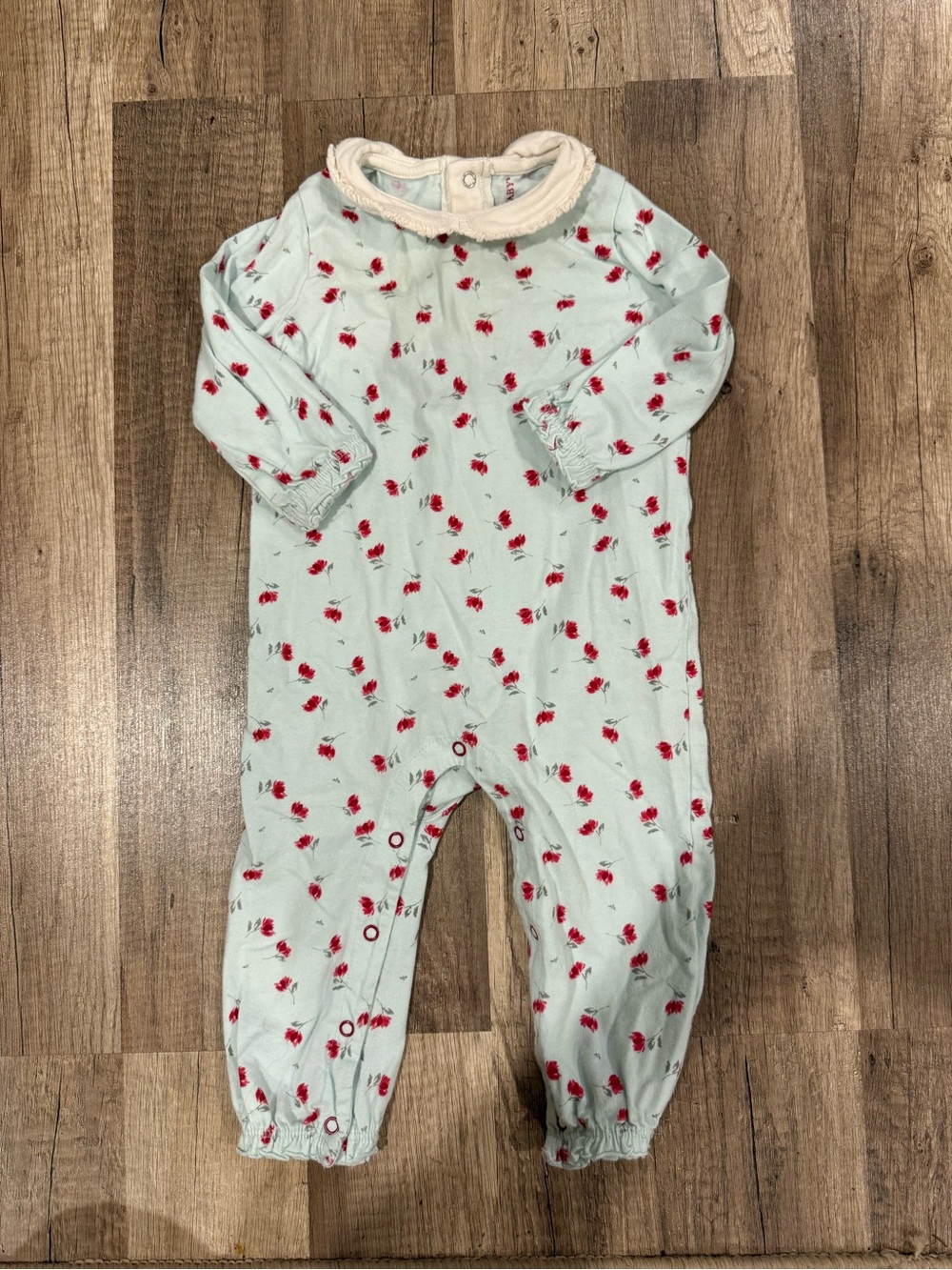 Floral Baby Snap Romper in Mint with Red buds Burts Bees 3-6 months
